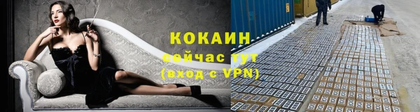 ГАЛЛЮЦИНОГЕННЫЕ ГРИБЫ Белоозёрский