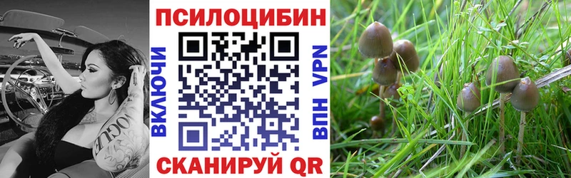 Псилоцибиновые грибы ЛСД  Тимашёвск 